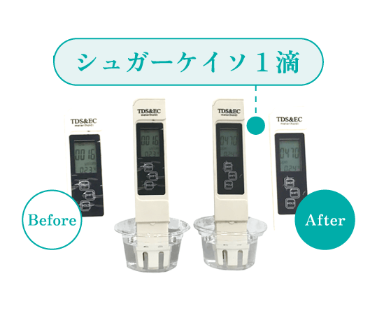 TDS測定編 高濃度 実験結果