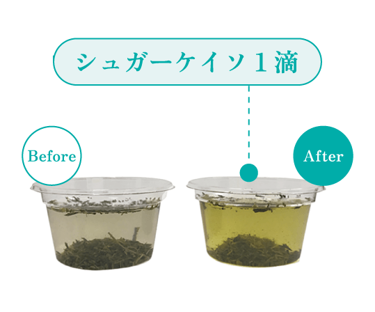 お茶編 実験結果