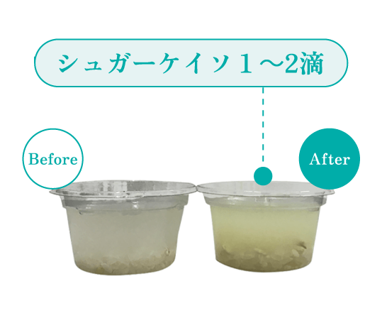 お米編 実験結果