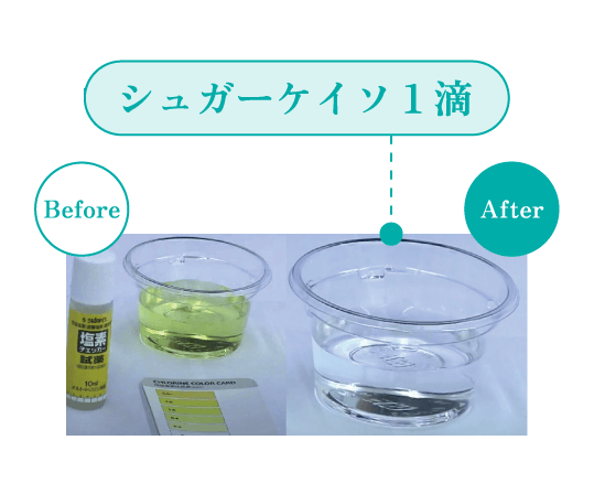 水道水編 実験結果