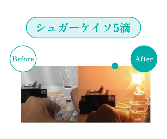 ミネラルウォーター編 実験結果